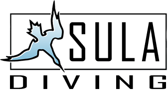 Sula Diving