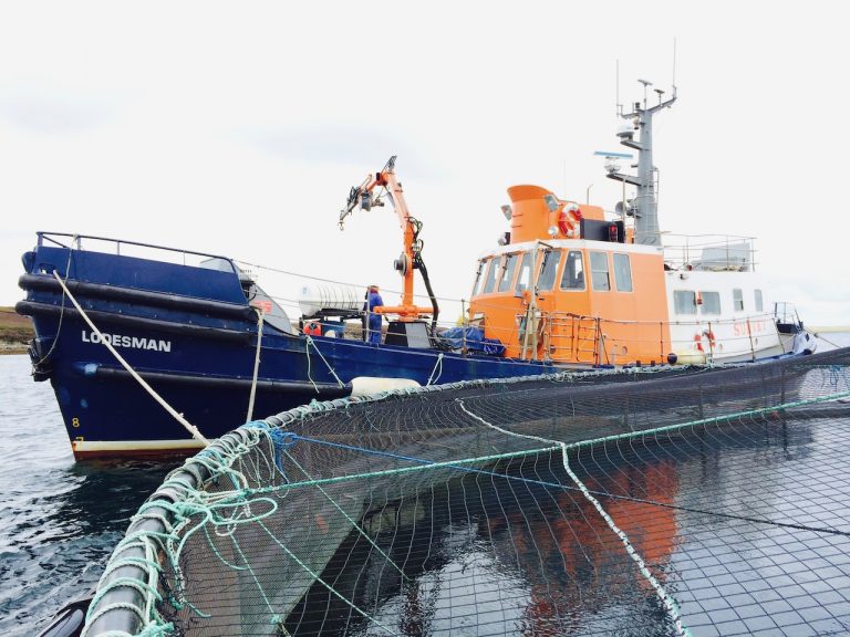 Salmon Farm Mooring Surveys